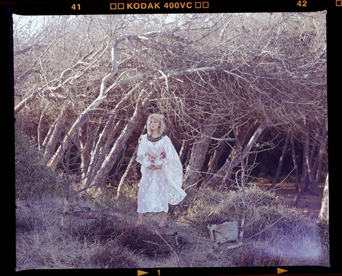 out-take  of Flora Furiosa after Botticelli's Primavera, showing the burnt pinewood before manipulation