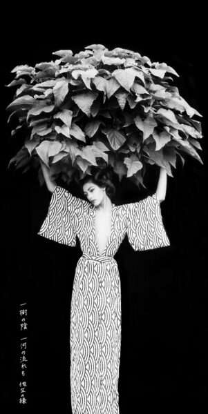 woman and tree