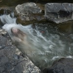 Ophelia 2008