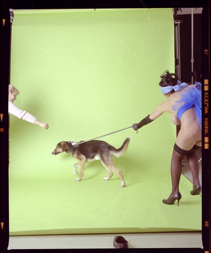 out-take – the hound just won't co-operate