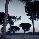 hamadryads