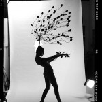 Daphne contact print