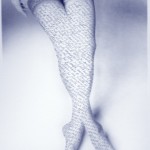 siren