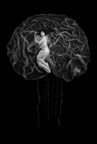 medusa