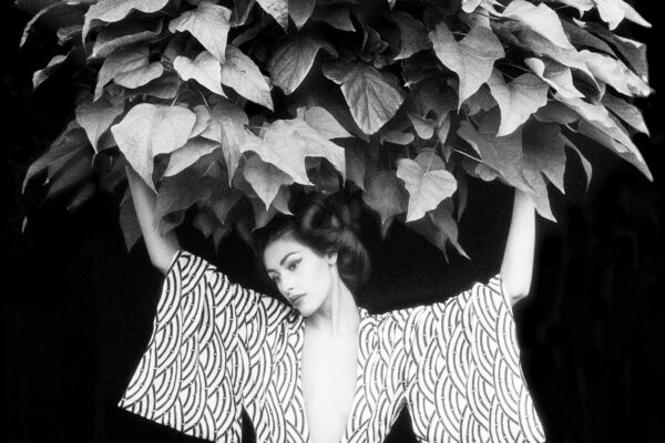 Arbor Vitae