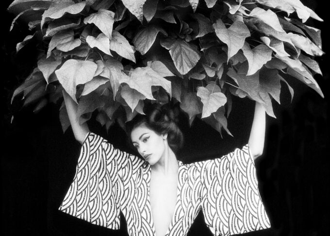 Arbor Vitae