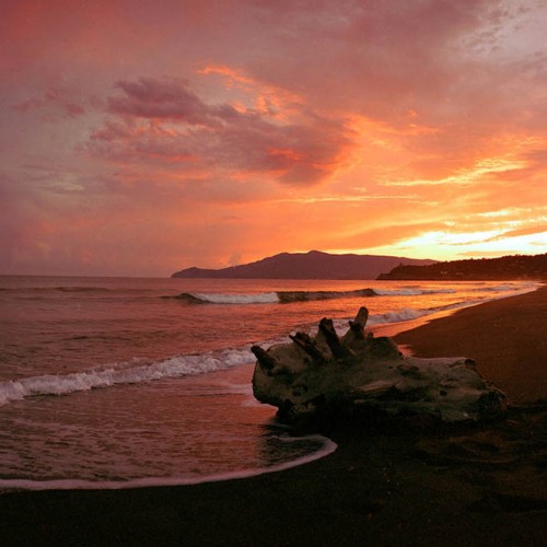 Tuscan coast