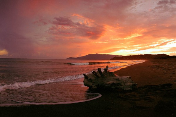 Tuscan coast