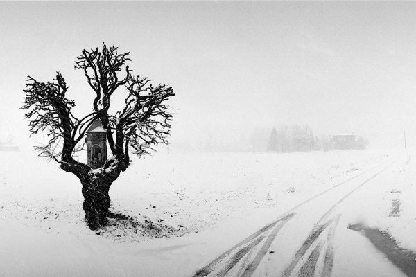 Marian tree