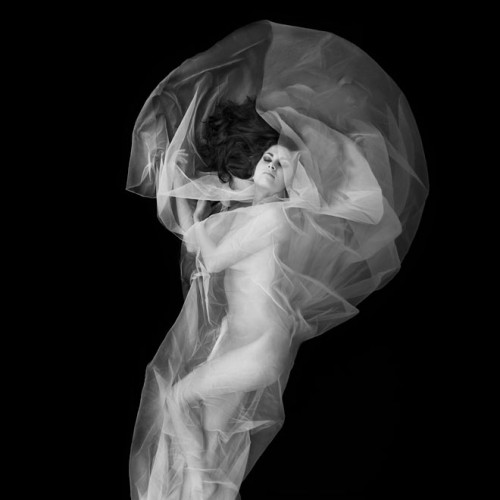 Chrysalis in Metamorphoses