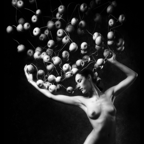 Pomona Metamorphosis