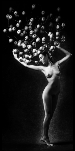 Pomona Metamorphosis