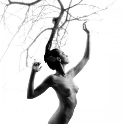 Sylvia Metamorphosis