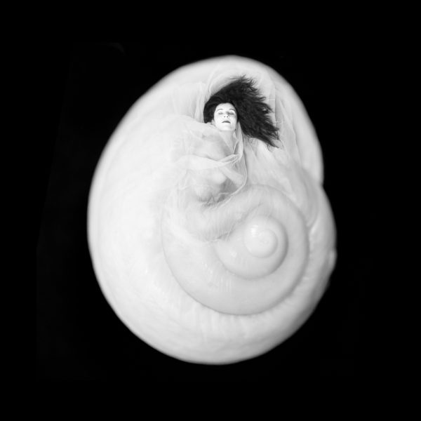 metamorphosis