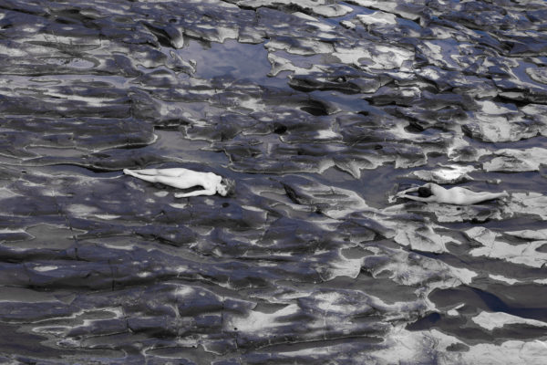 Deluge 2016