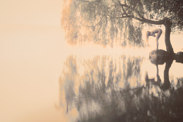 Weeping Willow Woman 2014