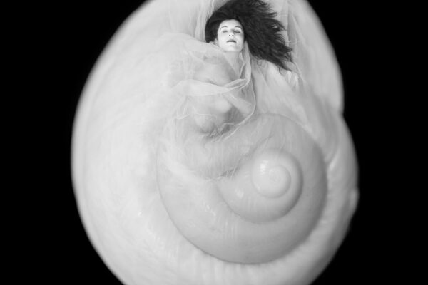 Nautilus 2019